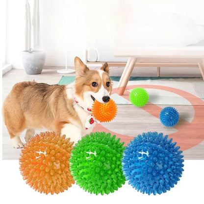 SqueakPlay Polka Sounding Pet Toy Ball