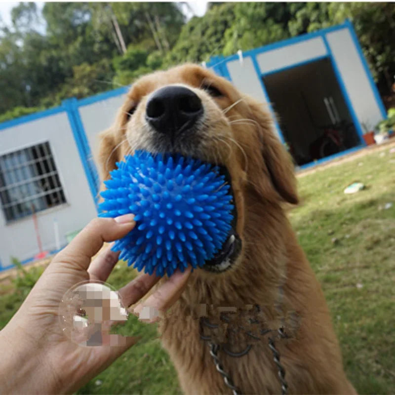 SqueakPlay Polka Sounding Pet Toy Ball