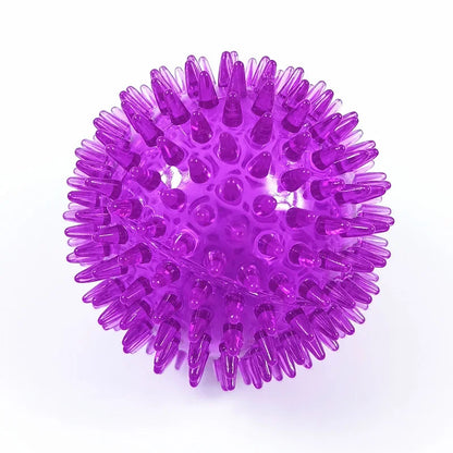 SqueakPlay Polka Sounding Pet Toy Ball